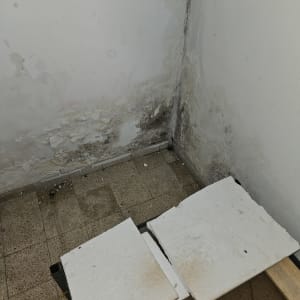 קיר עם רטיבות ועובש, לוחות קלקר על הרצפה