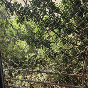 רשת מתכת על רקע צמחייה ירוקה