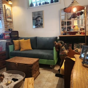 סלון עם ספה ירוקה, כריות צהובות, שולחן עץ ותאורה חמה