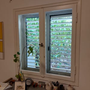 חלון זכוכית עם תריסים פתוחים, צמח מטפס מבחוץ