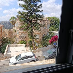 רשת יונים מותקנת על חלון עם נוף חיצוני