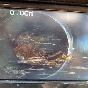 צילום צינור עם סתימה של שורשים