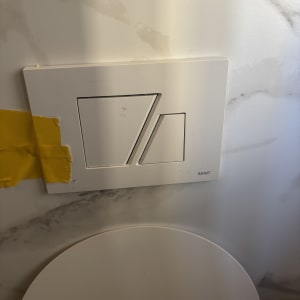 לחצן הדחה בשירותים עם קיר שיש