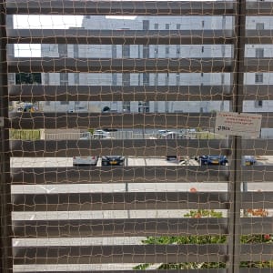 רשת יונים מותקנת על חלון למניעת כניסת יונים