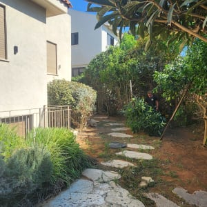 גינה עם שביל אבן ועבודת גיזום עצים
