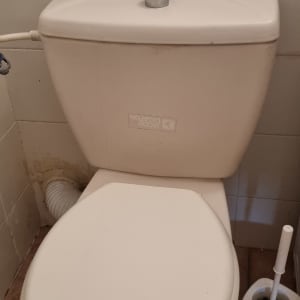 אסלה עם מברשת ניקוי בצד