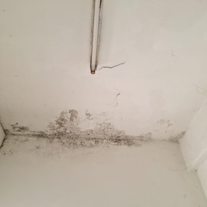 תקרה עם סדקים ועובש, זקוקה לתיקון