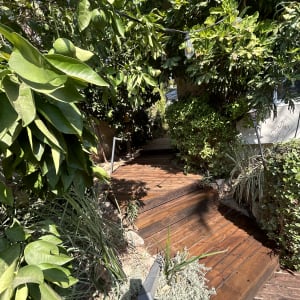 שביל עץ בגינה עם צמחייה ירוקה ולימונים