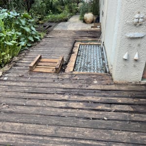 שביל עץ בגינה עם צמחייה מסביב