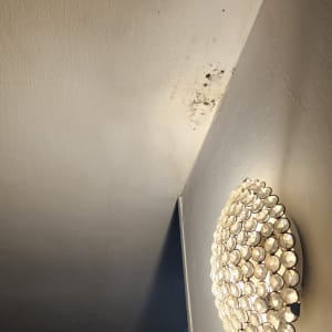 נזקי צבע מעל מנורה