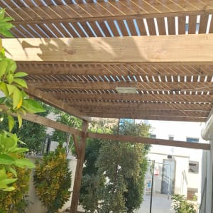 פרגולה מעץ בחצר עם צמחים מסביב
