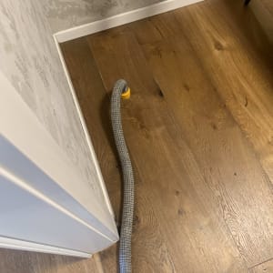 צינור גמיש על רצפת עץ ליד קיר