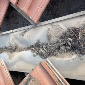 רעפים שבורים על גג עם עלים יבשים ואבק