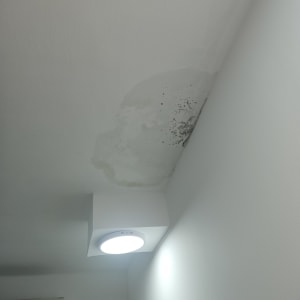 כתם רטיבות ועובש על תקרת חדר