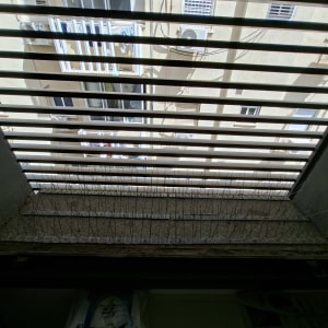 דוקרנים להרחקת יונים על אדן חלון