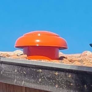 כיפה כתומה על גג עץ