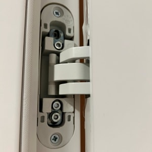 צירי דלת מתכתיים עם ברגים חשופים