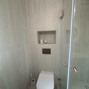 חדר אמבטיה עם שירותים ומקלחון זכוכית