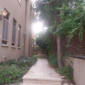 שביל גינה עם צמחים ופרחים לצד מבנה