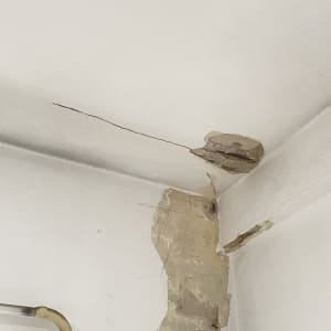 קיר עם סדקים ונזקי טיח