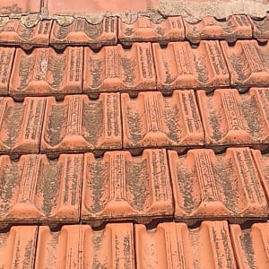 רעפים כתומים עם טחב על גג