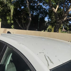 גג רכב עם סימני לכלוך ועצים ברקע