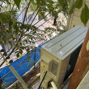יחידת מזגן חיצונית מותקנת ליד עץ