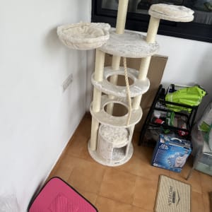 פינת משחקים לחתולים עם עמודים ומיטות