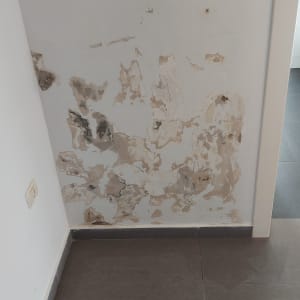 קיר עם קילופי צבע ודלי צבע עם מברשת