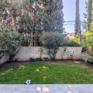 גינה עם דשא, שיחים ועצים גבוהים