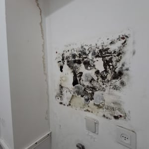 קיר עם סימני רטיבות ועובש