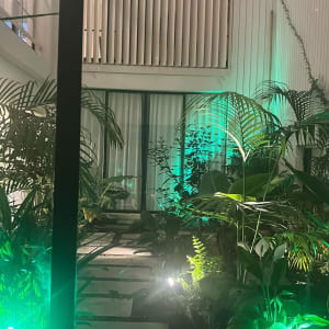 שביל אבנים בין צמחים מוארים באור ירוק