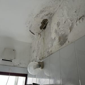 רטיבות ועובש על קיר ותקרה בחדר אמבטיה
