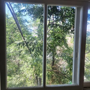 חלון זכוכית עם נוף של עצים ירוקים בחוץ