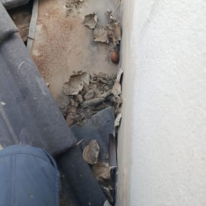 גג עם עלים יבשים ולכלוך בפינה