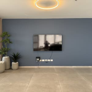 קיר צבוע בגוון כחול עם טלוויזיה תלויה ועציצים בצד