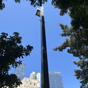 עמוד תאורה עירוני גבוה ממוסגר בענפי עצים על רקע בניינים