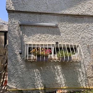 קיר חיצוני עם חלון וסורגים, עציצים ופרחים