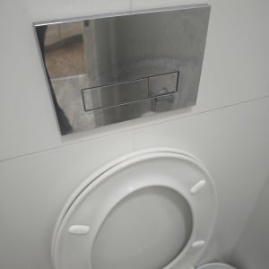 לחצן הדחה וכיסוי אסלה בשירותים