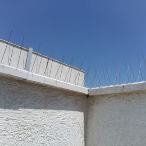 דוקרנים על גג למניעת נחיתת יונים