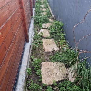 שביל אבנים עם צמחייה בין גדרות עץ ומתכת