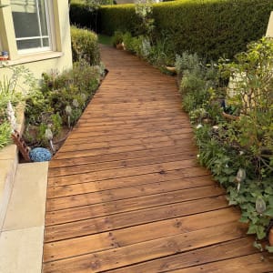 שביל עץ בגינה עם צמחייה מסביב