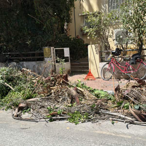 ערימת ענפים גזומים על המדרכה ליד מגרפה אדומה