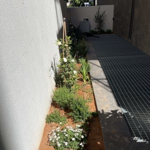 גינה קטנה עם צמחים ופרחים ליד קיר