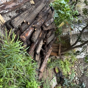 ערימת עצים בגינה עם צמחים מסביב