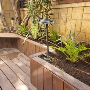 ערוגת גינה עם צמחים ותאורה דקורטיבית