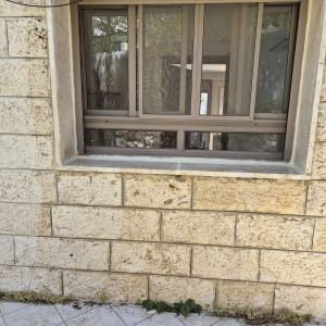 חלון קיר אבן עם צמחייה קטנה