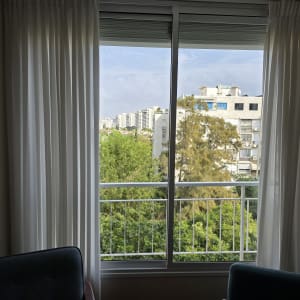 חלון ויטרינה גדול ונקי במיוחד מבעדו נראית מרפסת וצמחייה ירוקה