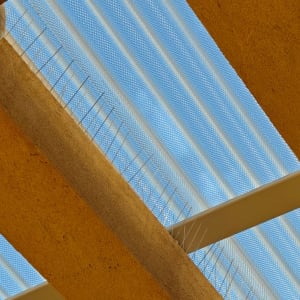 קוצים למניעת יונים על גג מתכת