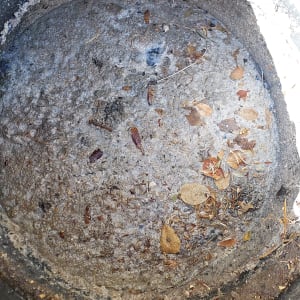 בור ביוב עם לכלוך ועלים יבשים